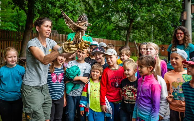 Léto se zvířaty: Zoopark spustil přihlášky na letní tábory