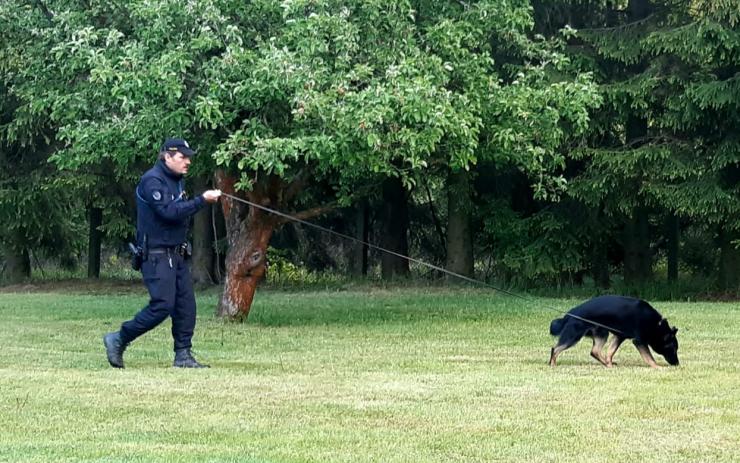 Zloděje chytili policisté přímo při činu! Vypátral je policejní pes Karo