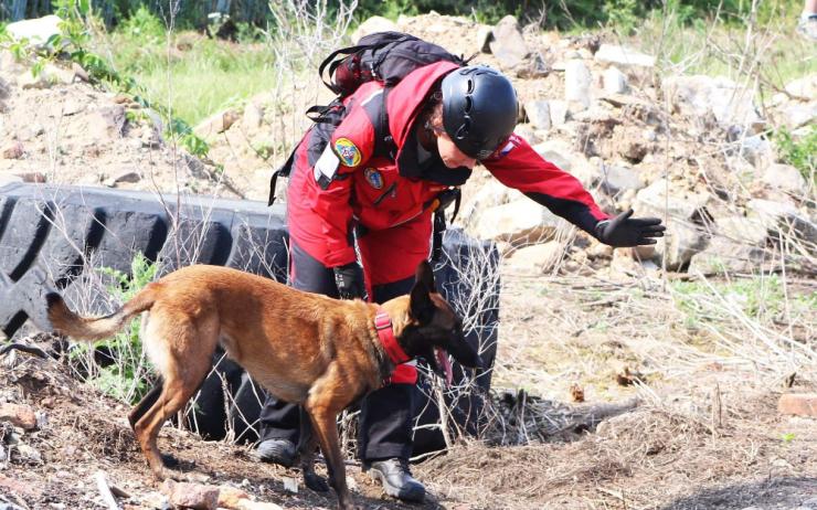 OBRAZEM: V Chomutově soutěžili psí záchranáři. Živé i mrtvé v sutinách nahradily tablety