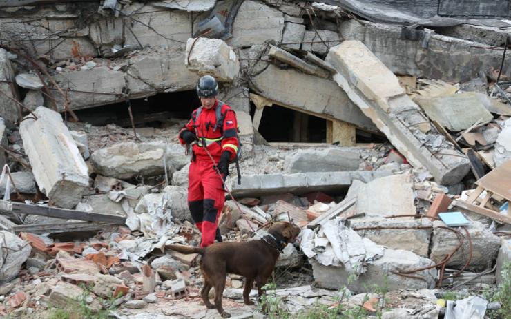 Ve výbuchem zdevastovaném Bejrútu zasahuje i dobrovolný hasič z Málkova se psem Jerrym