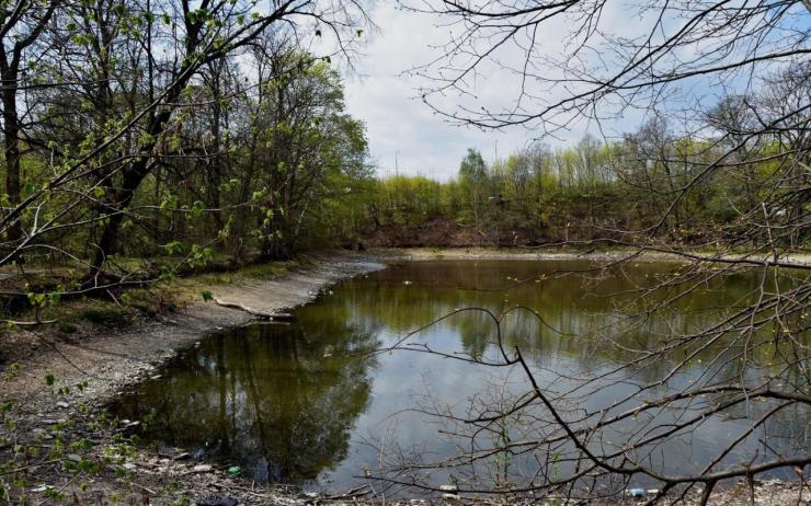 Dočkají se jirkovské rybníky revitalizace? Stát městu přislíbil dotace 