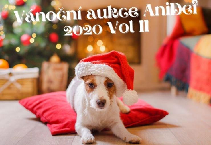 Už jen pár dní můžete dražit pěkné věci ve Vánoční aukci AniDef