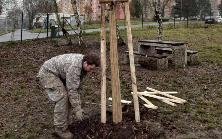 Jabloň, hrušeň, třešeň i dub. V Jirkově skončila výsadba stromů na horních sídlištích