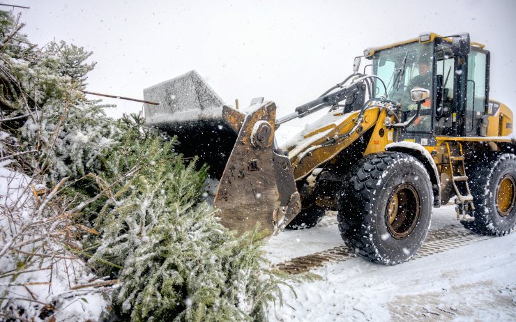 SEČTENO: Po Vánocích skončilo u kontejnerů třicet tun stromků