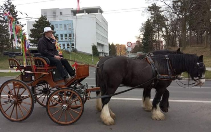 FOTO OD VÁS: Jirkovem projel koňský povoz s velikonoční výzdobou