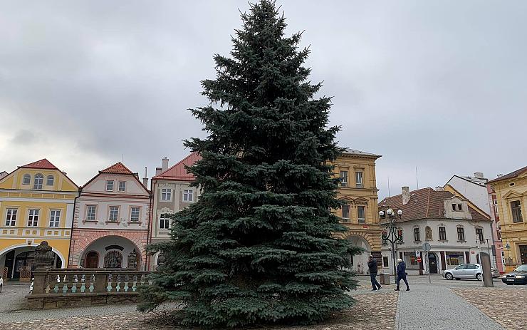V Kadani na náměstí už stojí vánoční strom. Město ho dostalo darem