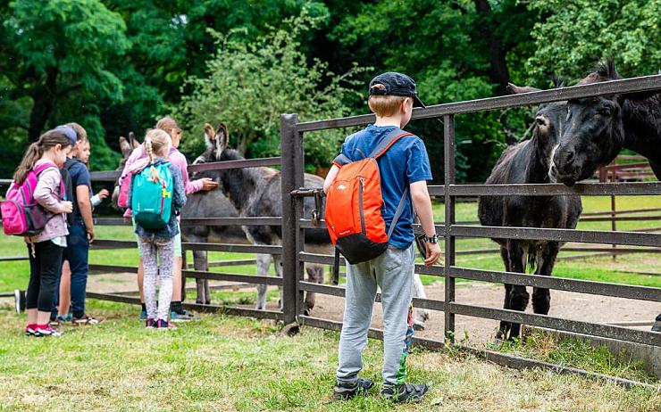 Prázdniny mezi zvířaty. Zoopark pořádá pro děti únorový příměstský tábor