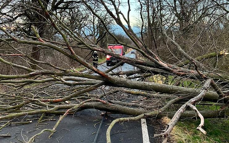 Výjezdů hasičů přibývá: V Chomutově spadl kus střechy na auto, zoopark dočasně zavřel