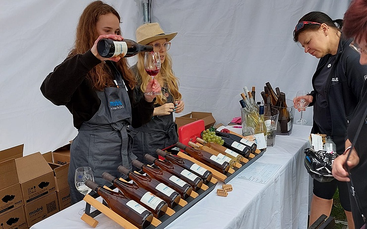 Festival vína míří po Jirkově i do Chomutova, na náměstí se představí nejlepší vinařství z celé republiky