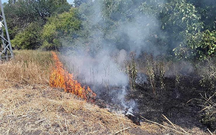 FOTO: Je parno a hrozí nebezpečí požárů. Hasiči už vyjížděli k Pesvicím