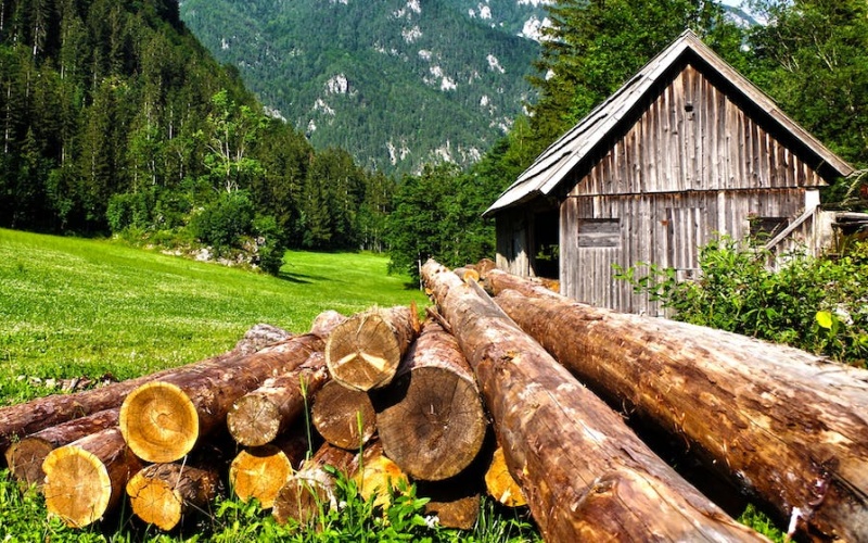 Chodci a cyklisté pozor: V Bezručově údolí se chystá lesní údržba. Na cyklostezce se bude pohybovat těžká technika