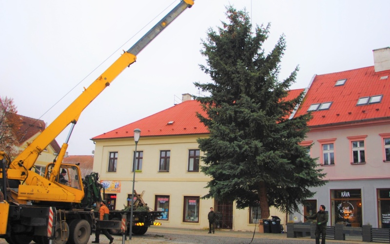 Za jakého počasí města rozsvítí vánoční stromy? Tu je odpověď