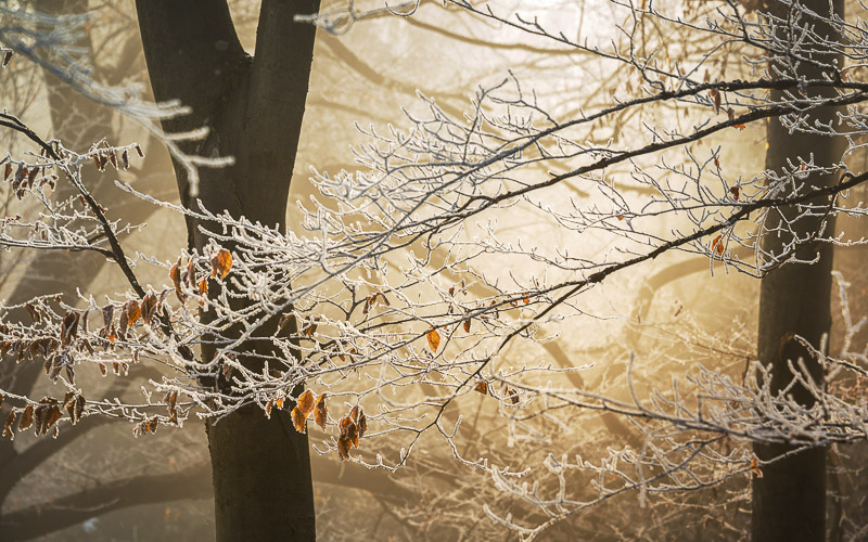 Děda Mráz na steroidech. Noc nás zchladí teplotami až kolem -10 °C