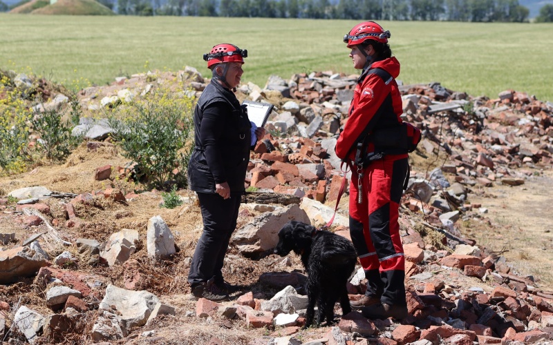 Psí záchranáři hledali oběti v sutinách po výbuchu na Chomutovsku. Ti nejlepší získali pohár prezidenta