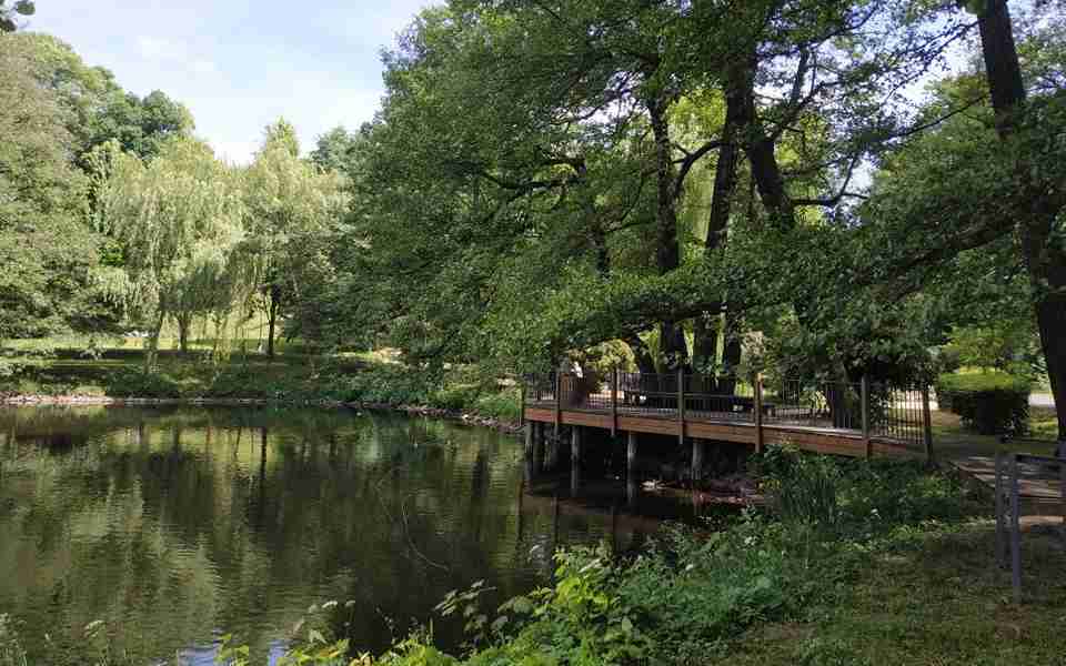 Město Sokolov obdrželo dotaci z Karlovarského kraje na ošetření stromů v parcích