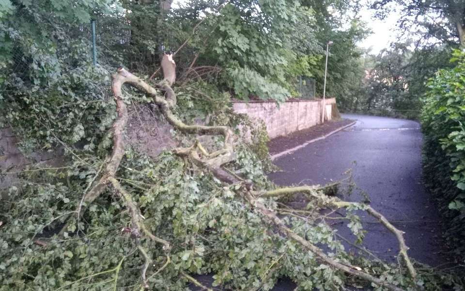 Nehoda vlaku a stromy na silnicích. Hasiči odklízeli následky včerejší bouřky