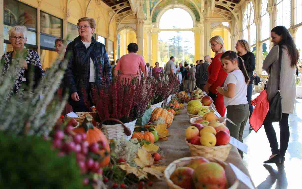 Žáci Hotelové školy v Mariánských Lázní připraví tisíc štrúdlů na festival jablek