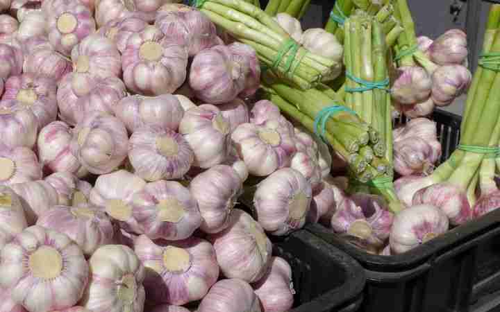 Páteční farmářské trhy budou ve znamení česneku a burčáku