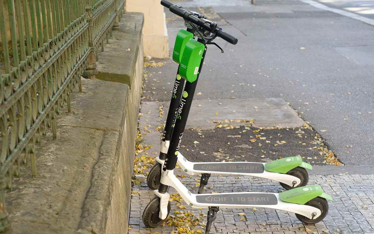 Krádeže koloběžky, platební karty nebo SPZ značek. Zloděj z Chebu bral vše, co viděl