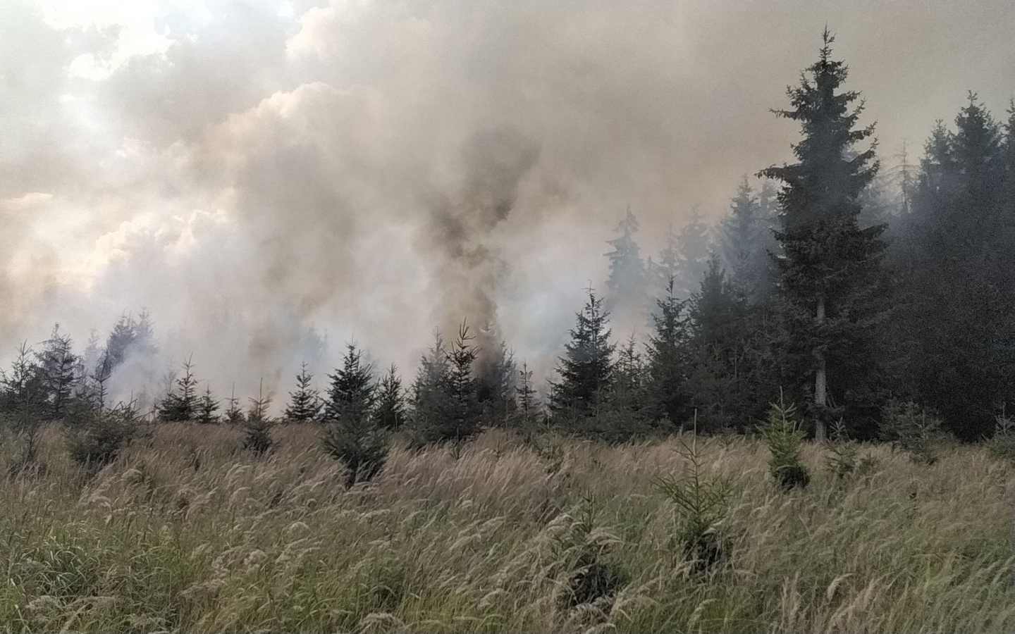 Dnešním dnem je zrušeno období zvýšeného nebezpečí vzniku požárů na území Karlovarského kraje 