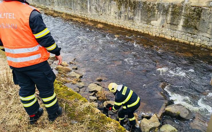 OBRAZEM: Psa uvíznutého v řece mezi kameny zachraňovali hasiči z Nejdku