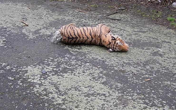 Kuriózní případ karlovarských strážníků: Na ulici ležel mrtvý tygr, z mršiny se vyklubal plyšák