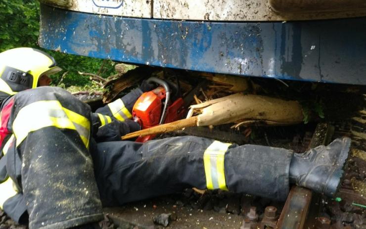 AKTUÁLNĚ: Železniční nehoda u Lubence: Osobní vlak narazil do stromu