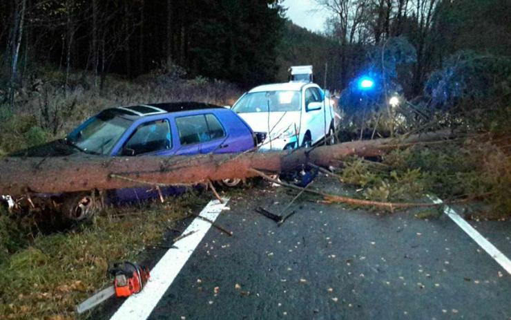 Dvě auta narazila do spadlého stromu, zranili se čtyři lidé včetně dětí