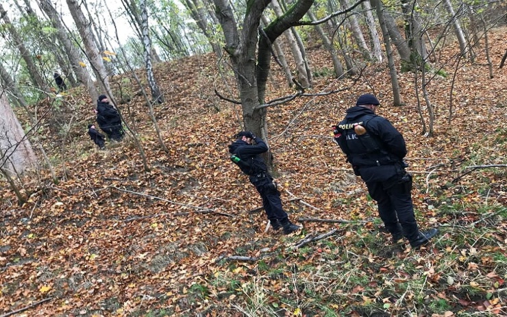Desítky policistů hledaly zraněnou ženu, která se ztratila při procházce v lese