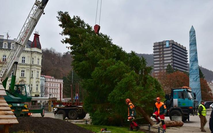 OBRAZEM: Karlovy Vary se připravují na svátky! U Alžbětiných lázní už stojí vánoční strom