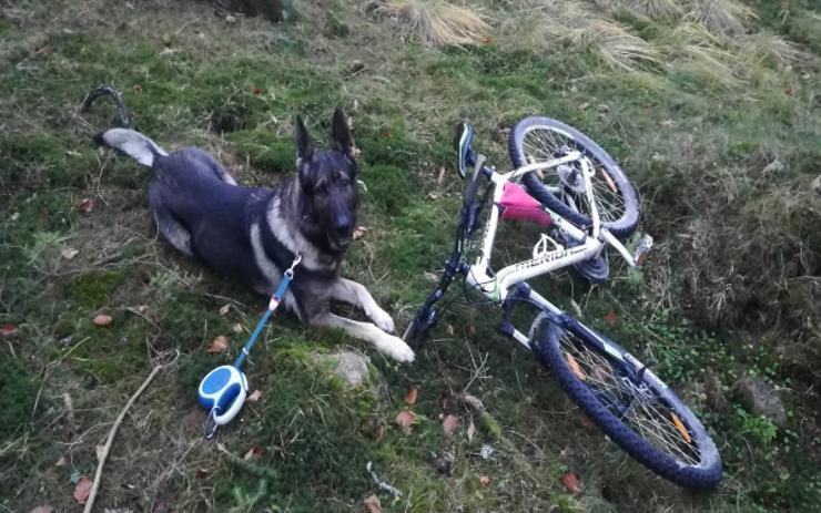 Další úspěchy čtyřnohých policejních parťáků! Služební psi Garrit a Aron pomáhali při objasnění případů vykradených chat 