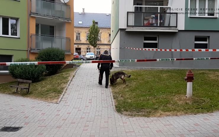 VIDEO: Napadení v panelovém domě v Aši! Zraněná žena skončila v nemocnici, útočníka chytili