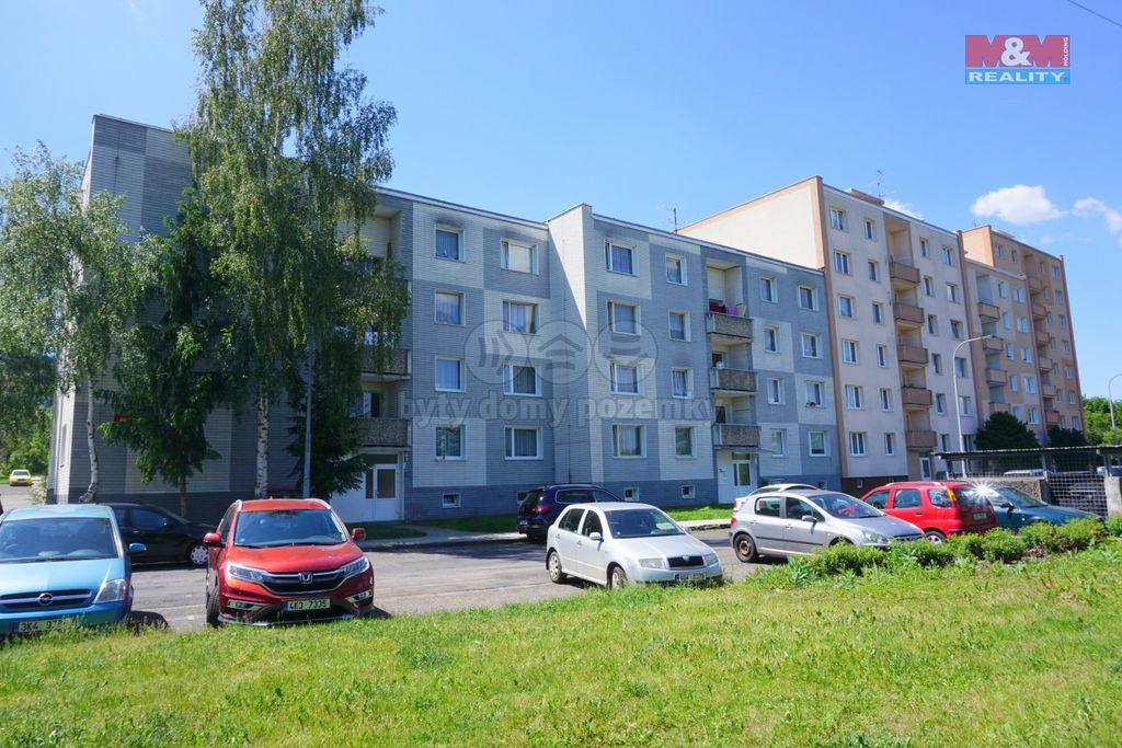 1311 karlov b