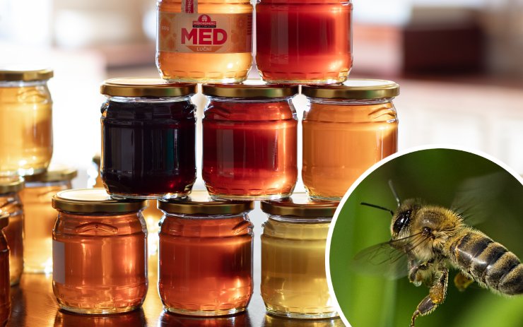 10 zajímavostí, které možná nevíte o včelách. Ve středu mají svůj světový den