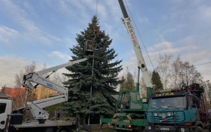 FOTO: Před Thermalem už stojí vánoční strom. Stříbrný smrček kdysi vyhrála jeho majitelka v tombole