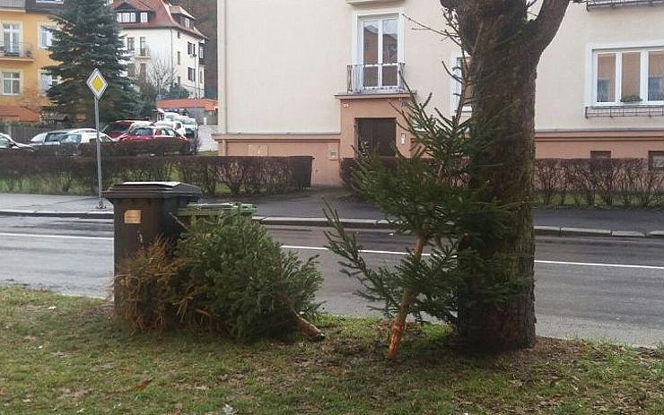 Kdy se budou v Karlových Varech odvážet dosloužilé vánoční stromky? Vyhodit je můžete ještě před Silvestrem