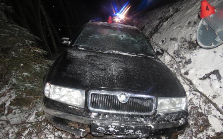 FOTO: Sníh o víkendu nezaskočil jen řidiče. Žena volala na policii, že došlo k ekologické katastrofě