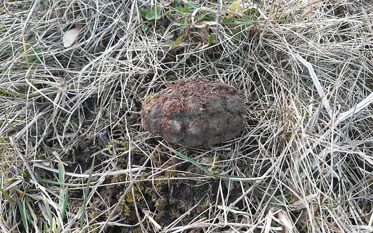 Muž našel na louce pomocí detektoru ruční granát. Zlikvidoval ho pyrotechnik