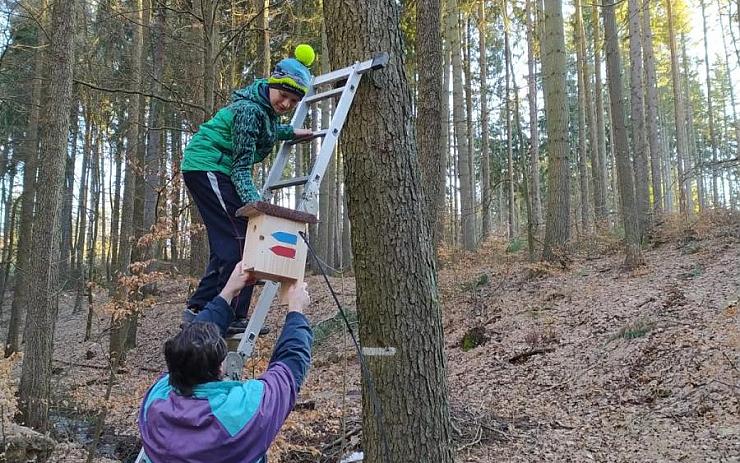 V karlovarských lesích se objevily ptačí budky s barevnými šipkami. K čemu slouží?