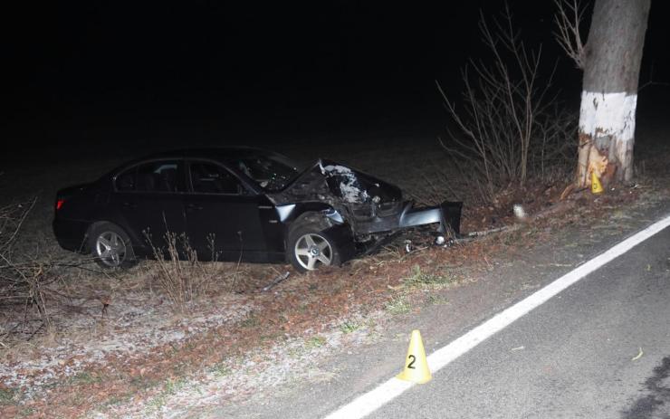 BMW na Karlovarsku narazilo do stromu, jeho řidič byl na mol!