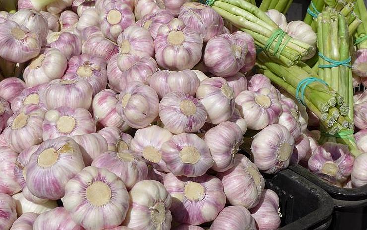 Páteční farmářské trhy v Karlových Varech provoní především různé odrůdy česneku