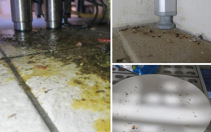 FOTO: Všude špína, plíseň, myší trus i na talíři! Inspekce zavřela další nechutnou restauraci v našem kraji