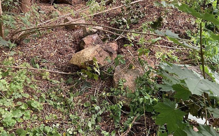 FOTO: Policisté vypátrali zloděje z vlaku v Karlových Varech. Ukradenou pokladnu našli ve křoví