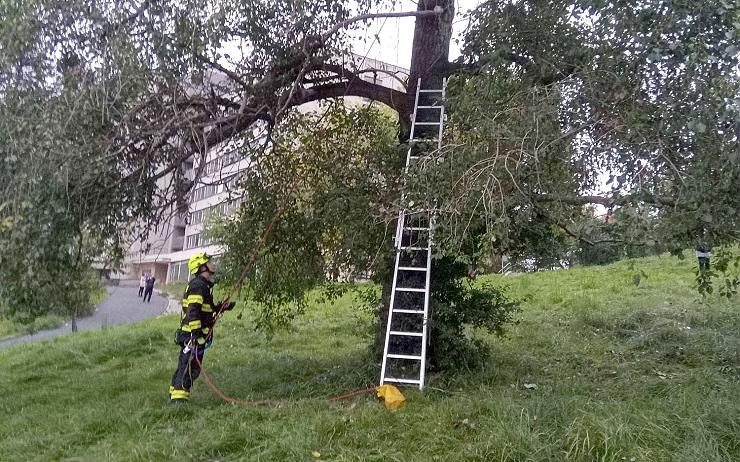 Chlapci uvízl dron v koruně stromu, oba pak museli sundat hasiči