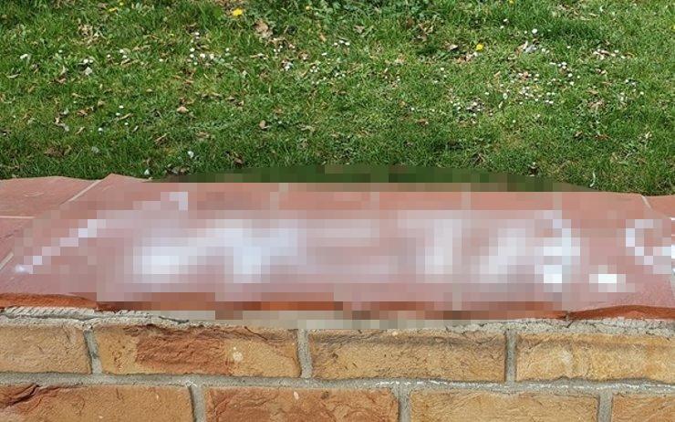 Muž nasprejoval na ulici vulgarismy ke jménu jeho sousedky, může jít do vězení