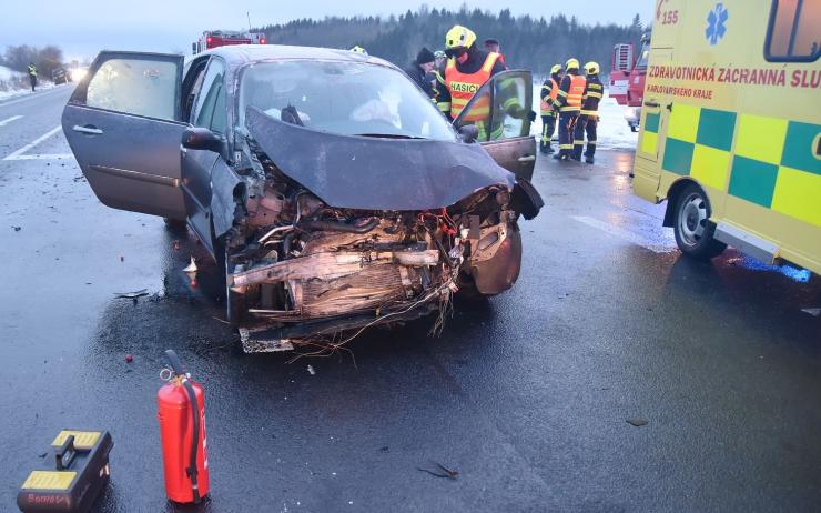 FOTO: Srážka dvou aut na Karlovarsku, hasiči vyprošťovali ze zdeformovaného kufru asistenčního psa