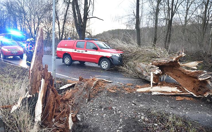 Hasičský vůz v Karlových Varech narazil do stromu, který mu spadl do cesty