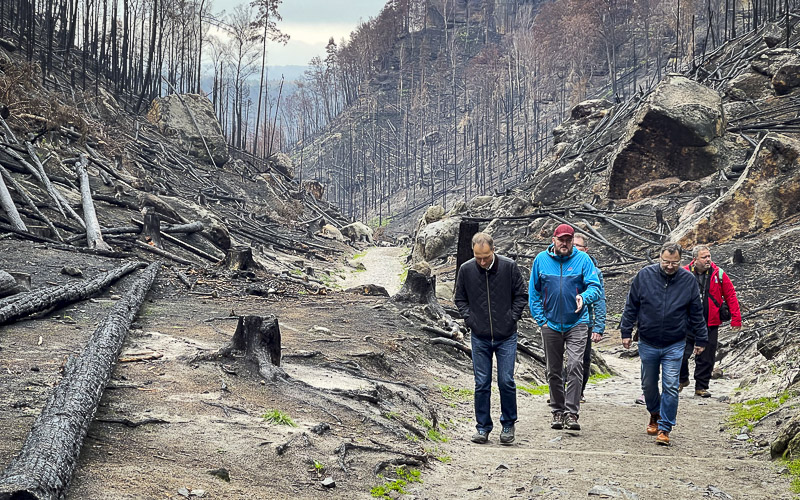 FOTOREPORTÁŽ: Obraz zkázy i obnovy. Národní park čtvrt roku po ničivém požáru 