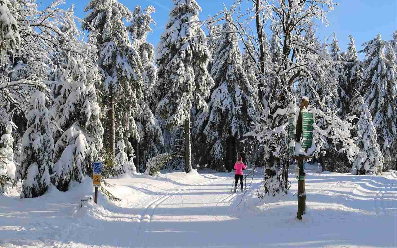 Karlovarský kraj podpoří nákup strojové techniky na údržbu tras pro zimní běžecké lyžování a pěší turistiku. Z rozpočtu vyčlenil několik milionů