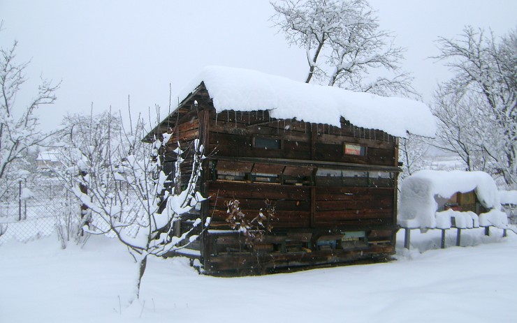 Zazimovaný včelí úl. Ilustrační foto: Michal Kočka / 3.0 Česko. http://www.creativecommons.cz/